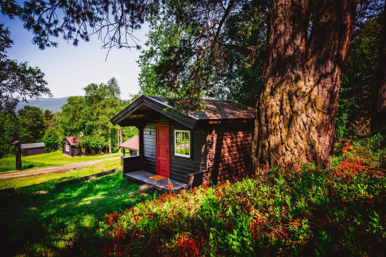 Ljoshaugen Camping Dombås Esterno foto